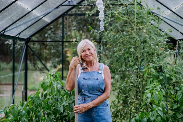 温室で野菜を掘っている間に休憩しているシニア女性 — ストック写真