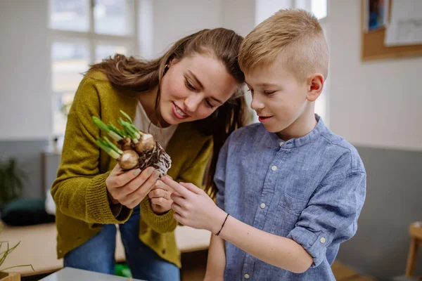 Fiatal Tanár Megtanítja Tanítványának Hogyan Vigyázzon Növényekre — Stock Fotó