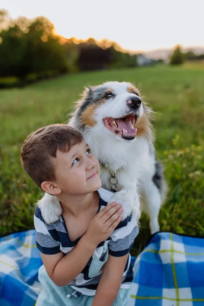犬の屋外でピクニックをしている男の子 — ストック写真