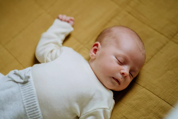 High Angle View Sleeping Newborn Baby Little Bed — Stockfoto