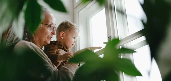 Grandmother Her Little Grandson Looking Out Window — Stock Photo, Image