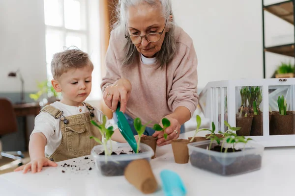 Nagymama Unokájával Zöldségeket Virágokat Ültet Tavasszal — Stock Fotó