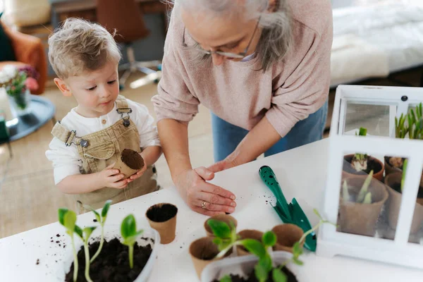 Nenek Dengan Cucunya Menanam Sayur Sayuran Dan Bunga Musim Semi — Stok Foto