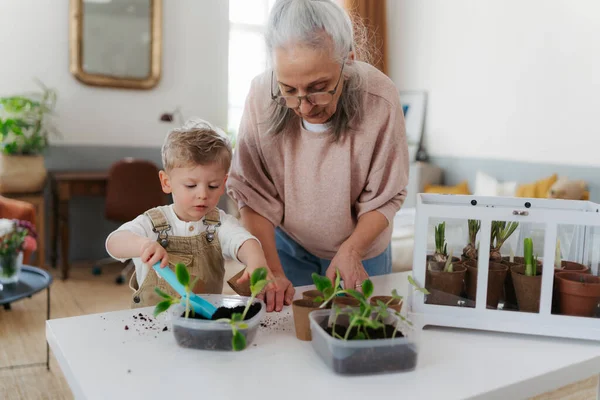 Großmutter Mit Ihrem Enkel Beim Pflanzen Von Gemüse Und Blumen — Stockfoto