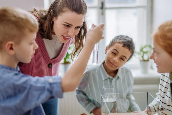 Young Teacher Making Little Greenhouse Pupils Learning Them Planting — Stock Photo, Image