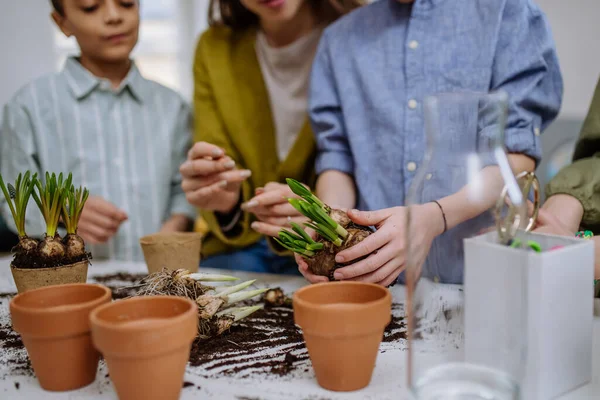 若い先生は生徒に植物の世話をする方法を学ぶ — ストック写真