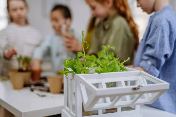 Щасливі Учні Вчаться Доглядати Рослинами — стокове фото