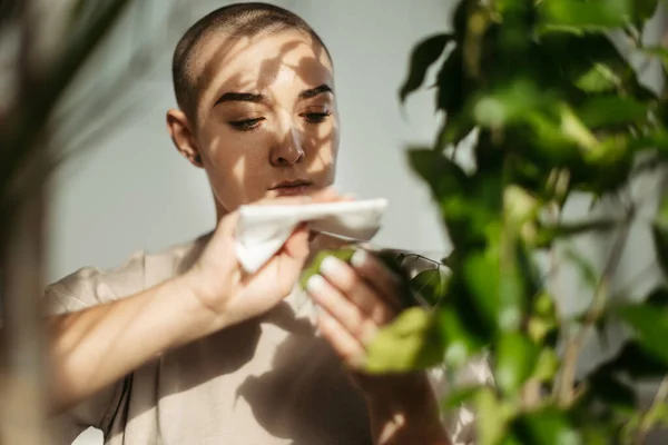 Young Woman Cancer Taking Care Plants Apartment — Stock fotografie