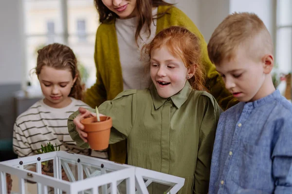Молодая Учительница Учит Своих Учеников Заботиться Растениях — стоковое фото