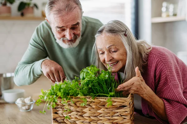 Senior Couple Smelling Fresh Herbs Cooking Kitchen — Stock Photo, Image