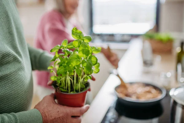 Seniorenpaar Kocht Gemeinsam Der Küche — Stockfoto