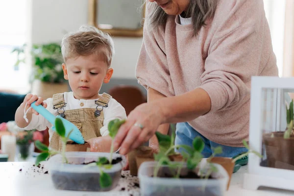 Nagymama Unokájával Zöldségeket Virágokat Ültet Tavasszal — Stock Fotó