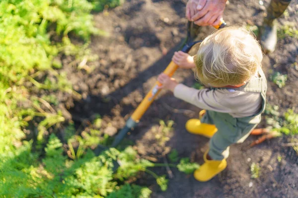 Küçük Çocuk Sonbahar Günü Bir Bahçede Çalışıyor — Stok fotoğraf