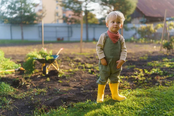 Arabalı Küçük Bir Çocuk Sonbahar Günü Bahçede Çalışıyor — Stok fotoğraf