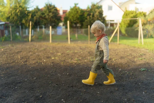 Μικρό Παιδί Που Περπατά Στον Αγροτικό Τους Κήπο — Φωτογραφία Αρχείου