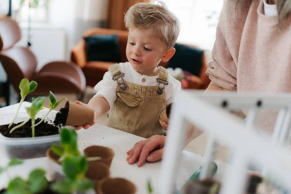 Nenek Dengan Cucunya Menanam Sayur Sayuran Dan Bunga Musim Semi — Stok Foto
