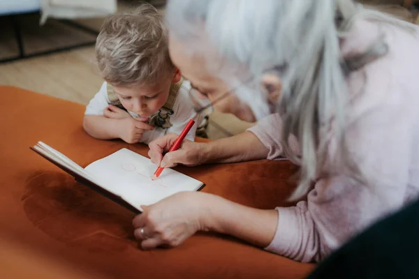 Grootmoeder Tekent Notitieblok Met Haar Kleinzoon — Stockfoto
