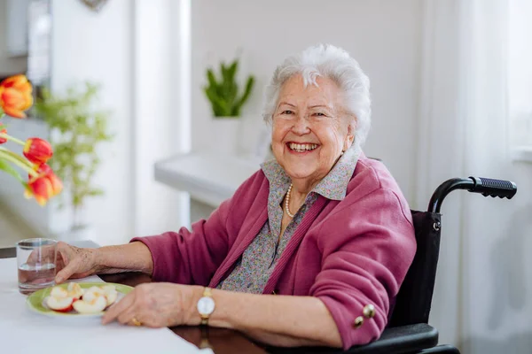 Portrait Senior Woman Wheelchair — Stock Photo, Image