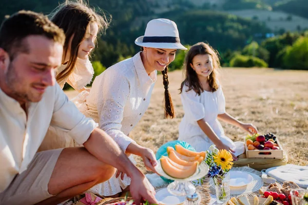 公園でピクニックをしている子供たちと幸せな家族 — ストック写真