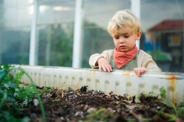 Malý Chlapec Stojící Vedle Venkovního Kompostu Zahradě — Stock fotografie
