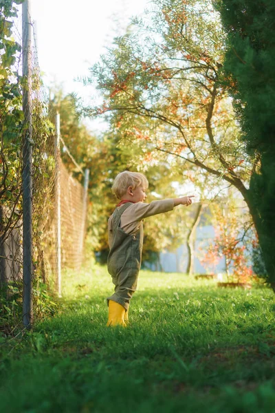 Πορτρέτο Του Μικρού Αγοριού Στέκεται Στον Κήπο Φθινόπωρο Κατά Διάρκεια — Φωτογραφία Αρχείου