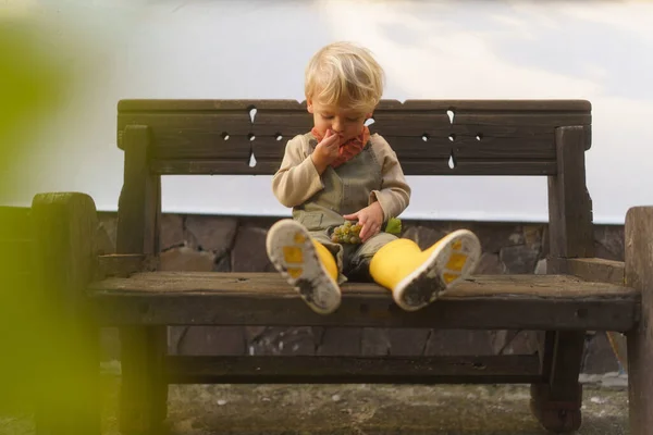Kleines Kind Sitzt Auf Bank Und Isst Selbst Angebaute Trauben — Stockfoto