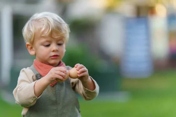 Portrait Happy Little Boy Holding Fresh Eggs Garden — Stock Photo, Image