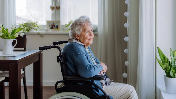 Tekerlekli Sandalyedeki Yaşlı Kadının Portresi — Stok fotoğraf
