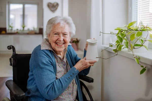 Старша Жінка Поливає Квіти Квартирі — стокове фото