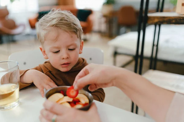 Αγοράκι Τρώει Φρουτομεζεδάκι Γιαγιά Του Μήλο Και Φράουλες Στο Κουτί — Φωτογραφία Αρχείου