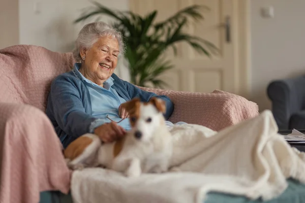 Yaşlı Kadın Evde Küçük Köpeğiyle Eğleniyor Yol Arkadaşı Olarak Köpek — Stok fotoğraf