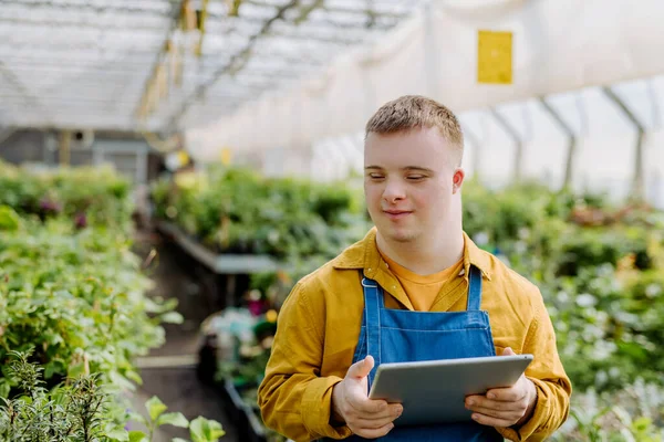 庭の中心部で働いているダウン症候群の若い男デジタルタブレットを保持し 植物をチェック — ストック写真