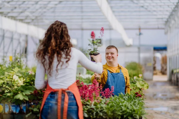 Una Florista Experimentada Ayudando Una Joven Empleada Con Síndrome Centro — Foto de Stock