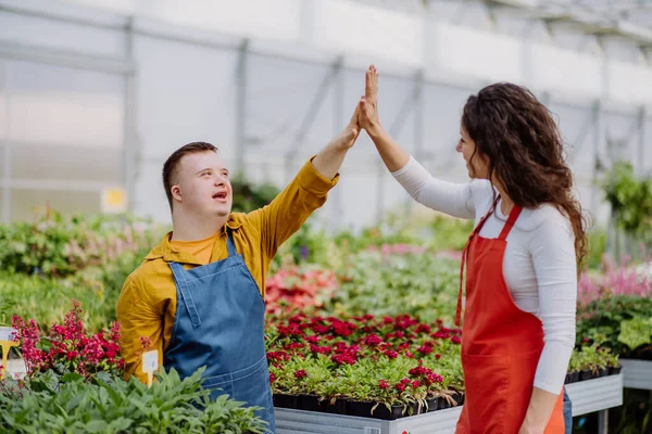 Uma Florista Experiente Ajudando Jovem Funcionário Com Síndrome Centro Jardim — Fotografia de Stock