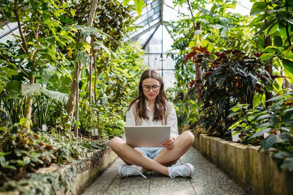 Jonge Vrouw Zit Een Kas Werkt Aan Laptop — Stockfoto