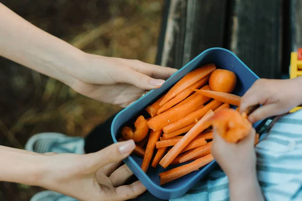 Trozos Zanahorias Picadas Crudas Albaricoques Lonchera Madre Sosteniendo Bocadillos Saludables — Foto de Stock