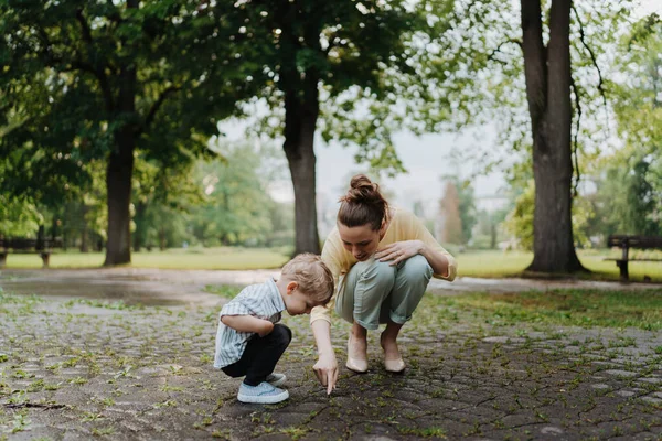 Alleenstaande Moeder Met Zoontje Die Samen Tijd Doorbrengt Een Park — Stockfoto