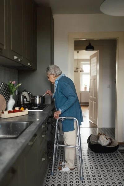 Glad Senior Kvinna Tillagar Mat Köket — Stockfoto