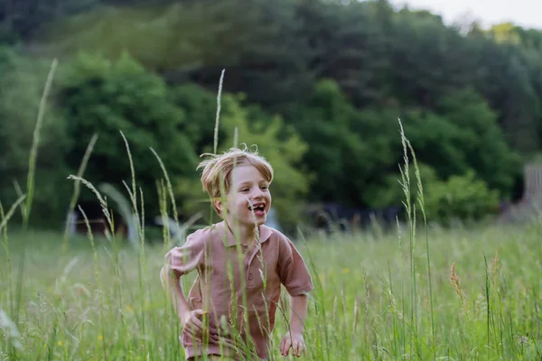 快乐的男孩在草地上玩耍和奔跑 — 图库照片