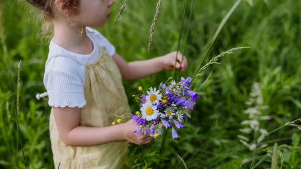 Close Little Girl Collecting Flowers Meadow — Stock Photo, Image