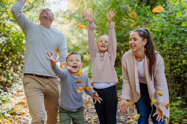 Mutlu Aile Sonbahar Ormanlarında Yeşilliklerle Eğleniyor — Stok fotoğraf