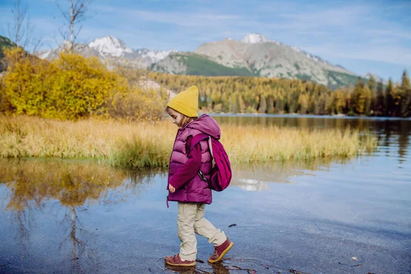 Güzel Sonbahar Doğasının Ortasında Gölün Kıyısında Yürüyen Küçük Bir Kız — Stok fotoğraf
