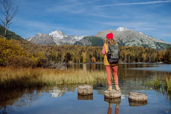 Pandangan Belakang Wanita Berdiri Tangga Kayu Tepi Danau Pegunungan Turis — Stok Foto