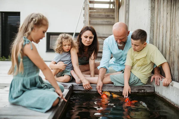 Havuzda Balıklara Bakan Çocuklu Neşeli Bir Aile Açık Havuzda Koi — Stok fotoğraf