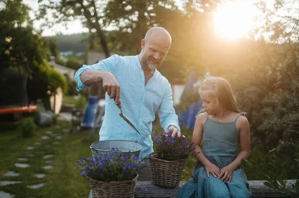 Father Daughter Taking Care Plants Garden Trasnplanting Flower Wicker Flower — Stock Photo, Image
