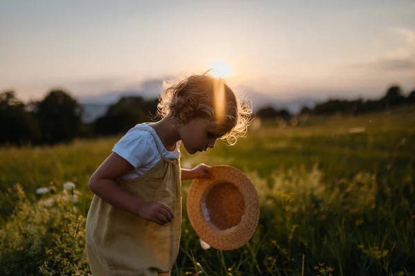 Vue Latérale Adorable Petite Fille Avec Chapeau Paille Debout Milieu — Photo