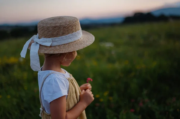 在夏天的草甸中间站着一个戴着草帽的可爱的小女孩的背影 日落时分 卷曲金发的小孩采花 夏天和祖父母在一起的孩子 — 图库照片