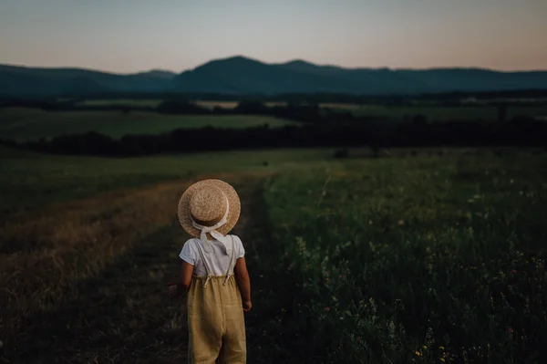 Yaz Otlağının Ortasında Duran Hasır Şapkalı Sevimli Küçük Kızın Arka — Stok fotoğraf