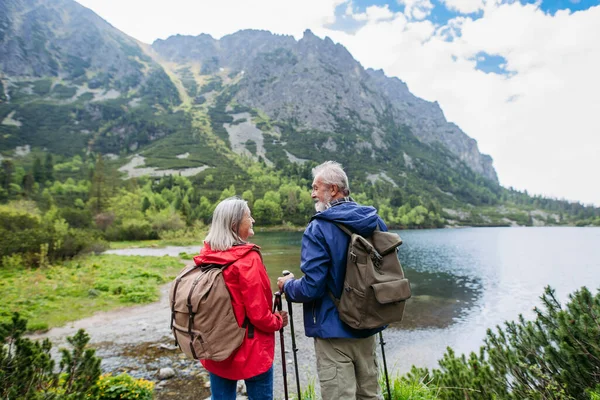 Zadní Pohled Aktivního Staršího Páru Jak Společně Kráčí Podzimními Horami — Stock fotografie