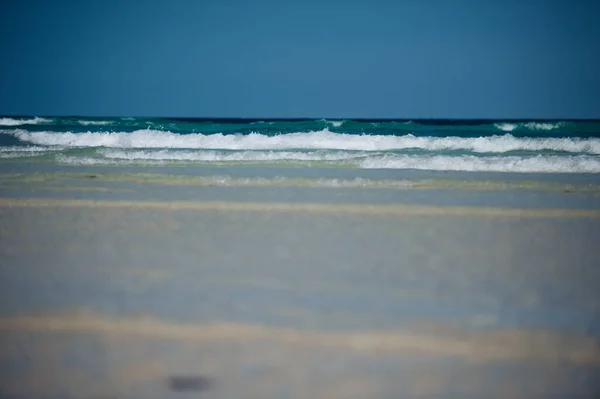 Splendida Vista Dalla Spiaggia Mnemba All Oceano Indiano Paesaggio Con — Foto Stock